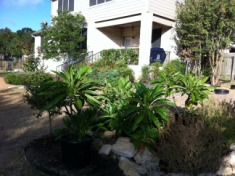 2011-08-06-6607 Conifer Cove-22.jpg